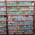 野菜の種や苗はどこで買う、買う前に畑の先輩や種苗店のプロから聞くべき