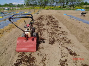 堆肥の使い方、知っておくべき3つのポイント、種類と量、購入時の注意点