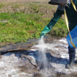家庭菜園土作り、石灰散布は根が順調に育つための環境作りと養分補給