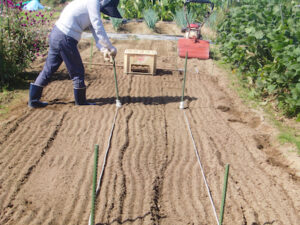 ベッドの位置決め