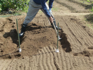 両側から土を盛り上げる