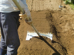 畝をレーキで平らにする