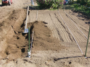 畝へベッドへ土あげ