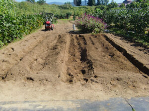 土の盛り上げ完了