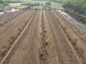 盛り上げた土をならす