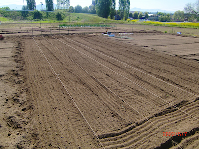 ひも支柱を差し込む