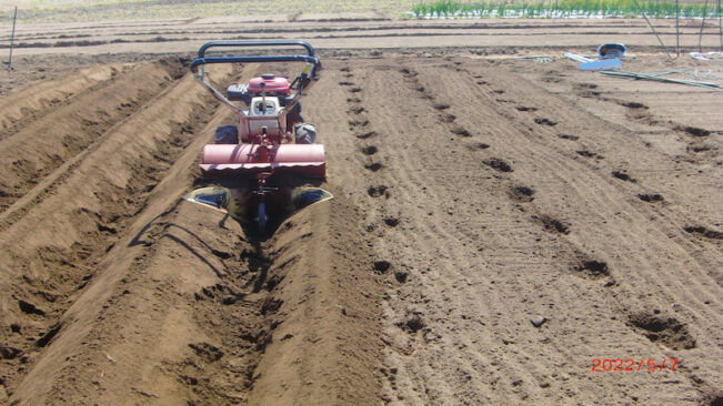 畝作りを耕運機、真っ直ぐな畝、ひもを踏みつけ印をつけるのが最重要