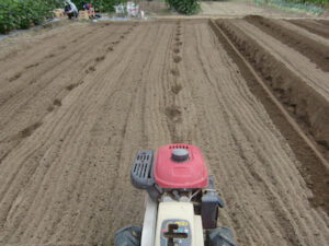 耕運機を足跡を目印で走らせる