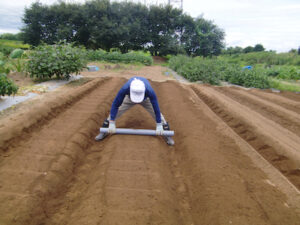 畝の表面を塩ビ管でならしている