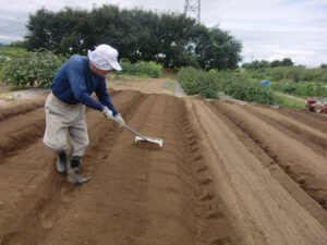 畝の表面の土を均している